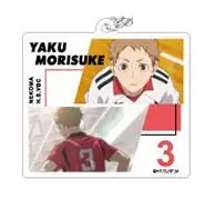  Anime Haikyuu!! Hinata Shoyo Tobio Kageyama Sugawara Koushi Pendant Acrylic Keychain Bag Charm Keyring Decorate Cosplay Gift 