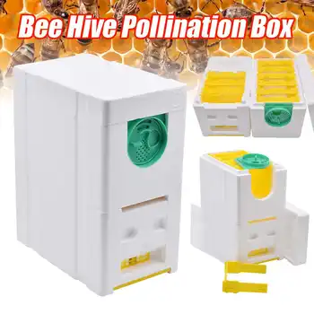

Honey Beehive Frames Beekeeping Box Bee Hive King Pollination Box Bee Mating Copulation Box Beekeeping Equipment