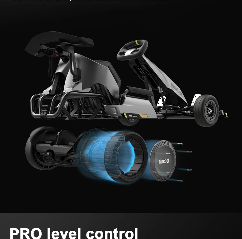 4800w Motor Kart Pro Electric Car Balance Car Kart Adult High With