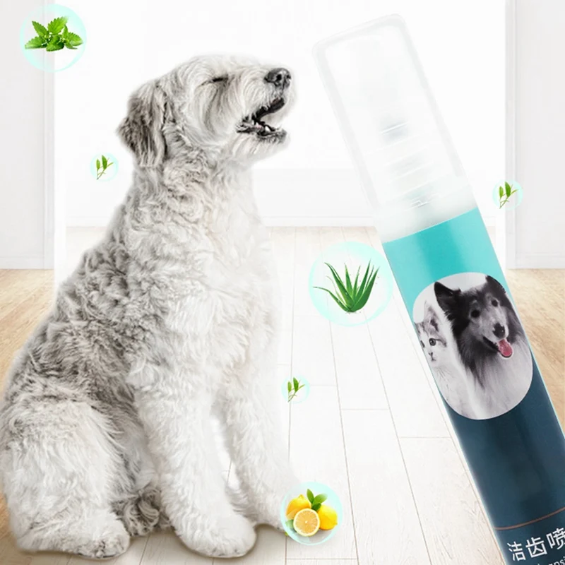 cleaning products safe for cats