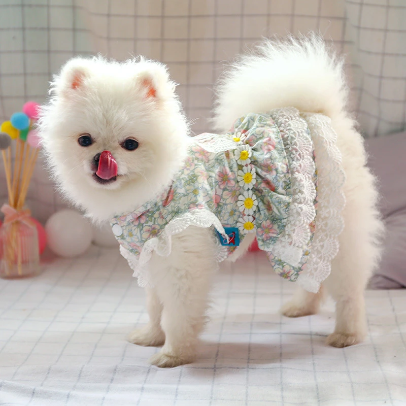 Terraplén añadir encerrar Ropa de perro de peluche Pomerania, bonito vestido Floral para perro,  vestido|Vestidos para perro| - AliExpress