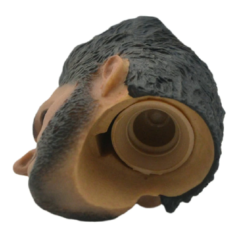 HTB1CjL4QpXXXXXLapXXq6xXFXXXg