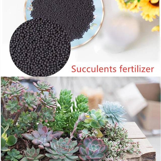 Otthoni Zamatos Növények Műtrágya Bonsai Kerti Tápanyagoldat Lassú Felszabadítás Virág Összetett 100G