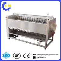 Large output 750kg per hour brush roll washing and cleaning machine stainless steel Potato vegetable peeler 1