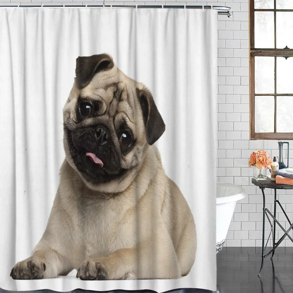 HTB1KKiHcQxz61VjSZFrq6xeLFXav