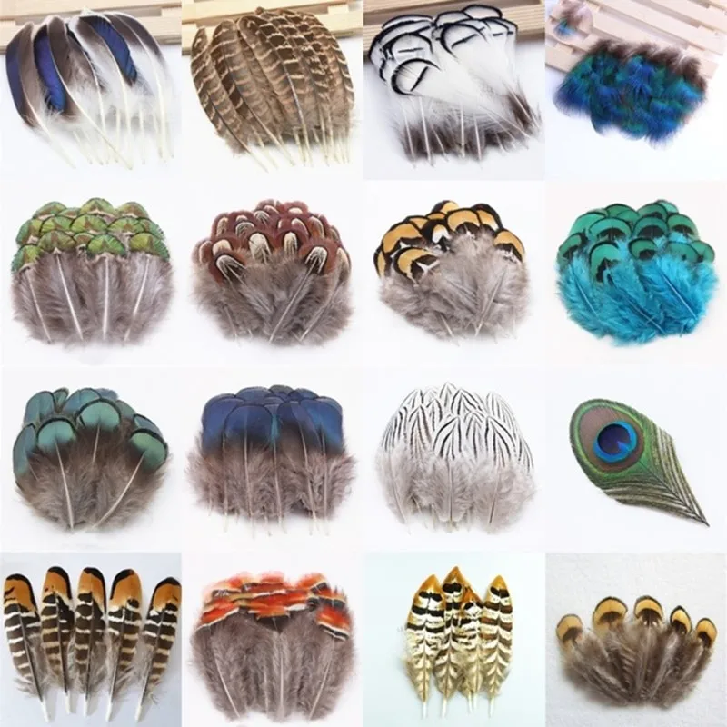 

Various Beautiful Natural Animal Feathers After Carefully Selected for Christmas Festive Decoration & DIY Handicrafts Bookmarks