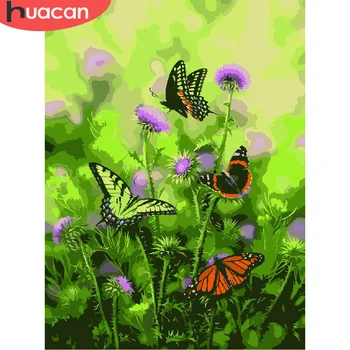 

HUACAN Painting By Numbers Butterfly Animal Drawing On Canvas HandPainted Art Pictures By Number Kits Home Decoration DIY Gift