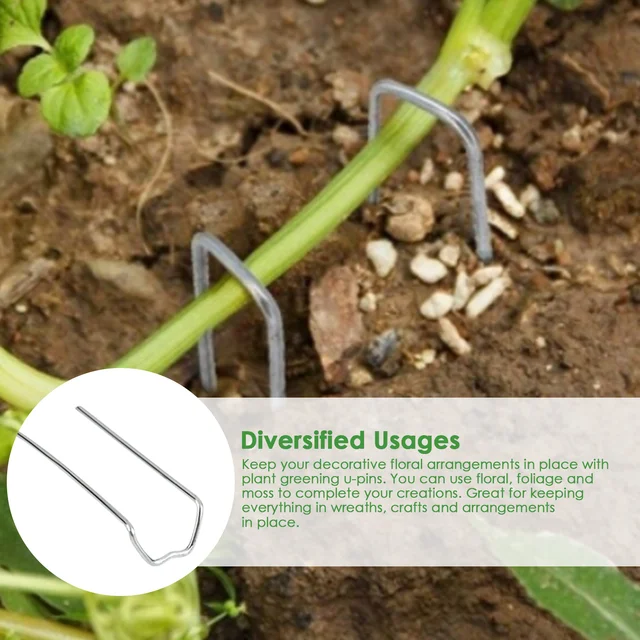 100Db 1,7 "U-Alakú Zöldítőcsapok Virágpáfrány Csapok Tárolódoboztal A Polisztirofoam Szalma Koszorú Ünnepi Kézműves Projekthez - Image 4