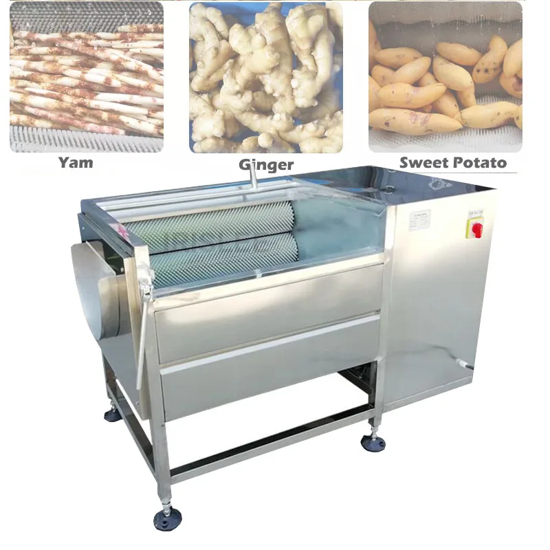 

Stainless Steel Apple Pear Mango Vegetable Cleaning Processing Fruit Washing Machine