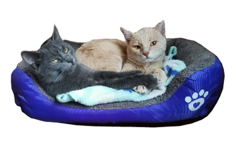 Uc65124e9bbf94d67b0b774bc08782e66Z