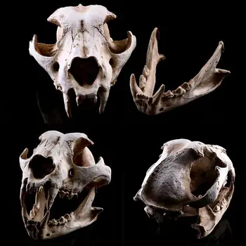 

Replica Others Decor Model Skull Inside The Home Pets Dog Collection 1:1 Canine Skull Garden Props Skeleton Decoration Movie