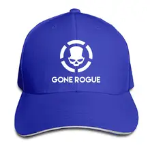 Мужская бейсболка The Division-Gone Rogue