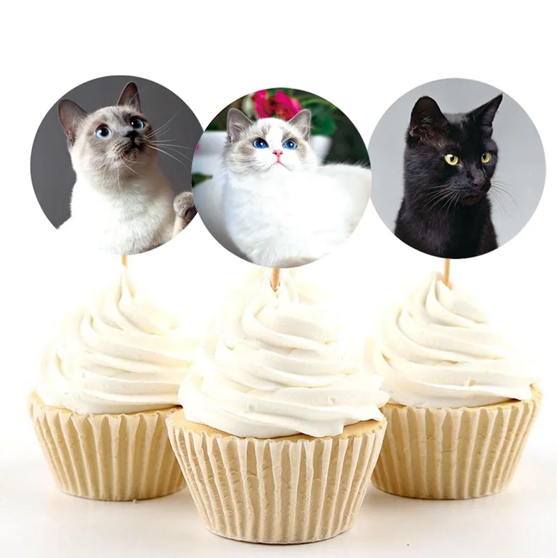 13460172758_136388158