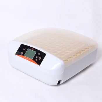 Mini Incubadora de huevos con Control de temperatura, 4-48 huevos, termostato de operación con un botón para Incubadora Couveuse, 12V/220V