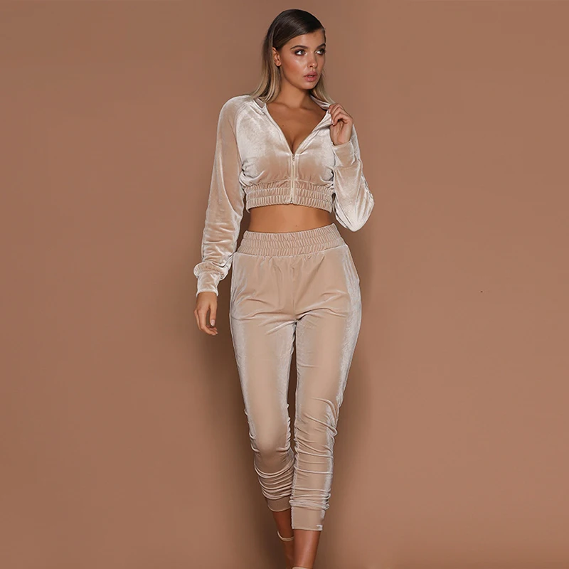 

2019 Spring Autumn Women's Suede Long Sleeve Sweatshirt Two-piece Sportswear Set High Waist Pants Female Solid Suit
