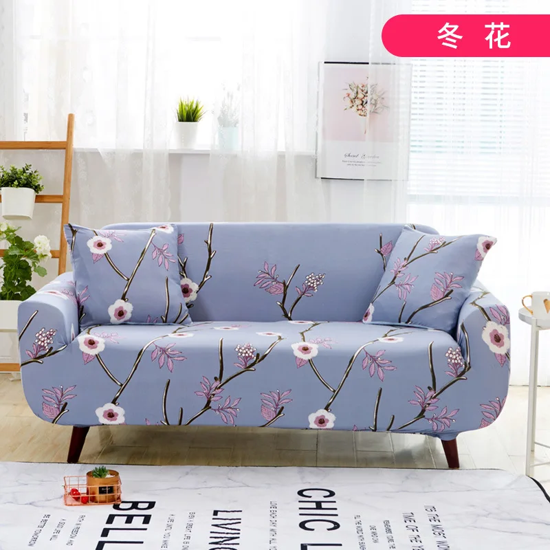 11953573495_1609937808