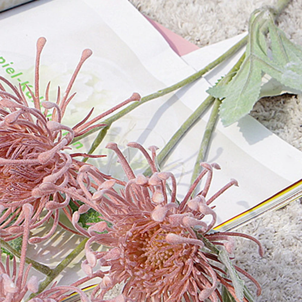 ZHGZ14478-ZHGZ14485-D1