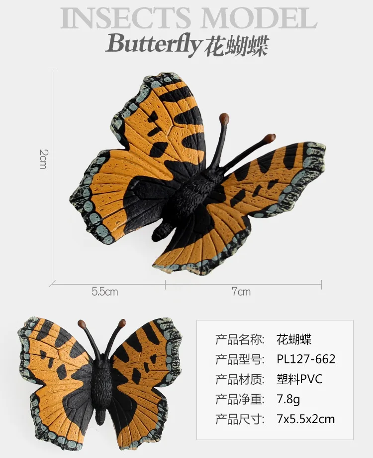 9006315453_1793268619