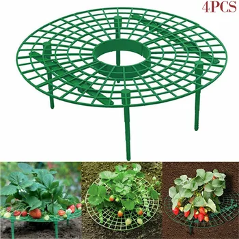 

Strawberry Plant Growing Supports Keep Strawberries Off in the Rainy Days Garden plant growing accessories support Bracket