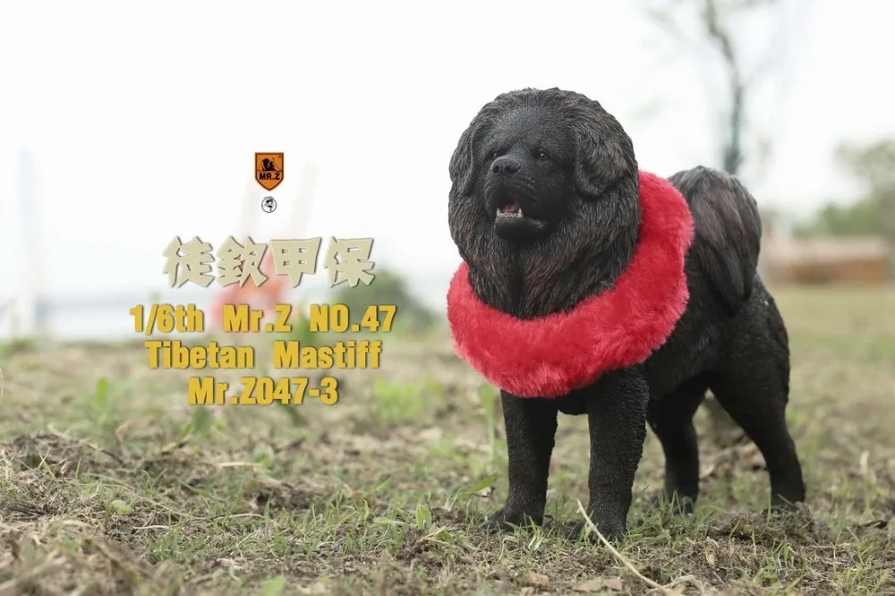 O1CN0136VYKV1bQizI0hQm4_!!3230463460