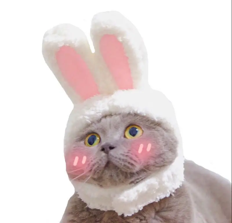 Забавные домашние головные уборы для кошек, шапка с милым кроликом для кошки, забавная шапка на Хэллоуин, рождественские костюмы для