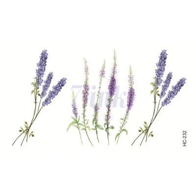 tsschhc232