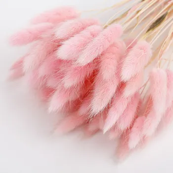 

50pcs/lot Garden Rabbit Tail Grass Preserved Fresh Flower Natural Dried Flowers Bouquet Wedding Home Decoration
