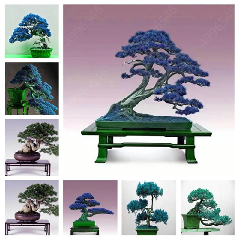 

Aquarium Rock Bonsai Ornament Fish Tank Rockery Artificial Pine Tree Plant Decoration Decoration Aquarium Accessories 10pcs