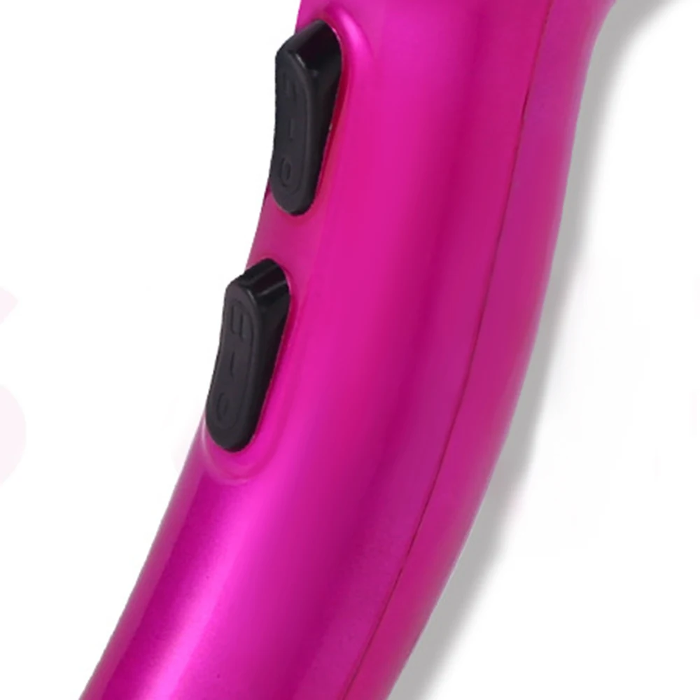 2000W Pet Hair Dryer 2