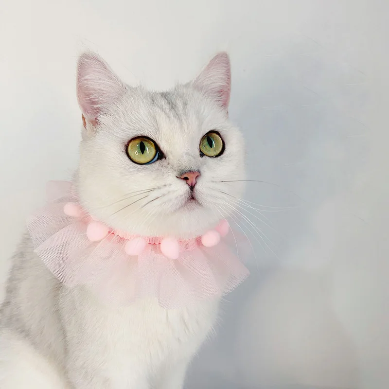 Collar de princesa de encaje para mascotas, accesorios para cachorros, Chihuahua, gatito, con bolas, pajarita para mascota ajustable, regalo