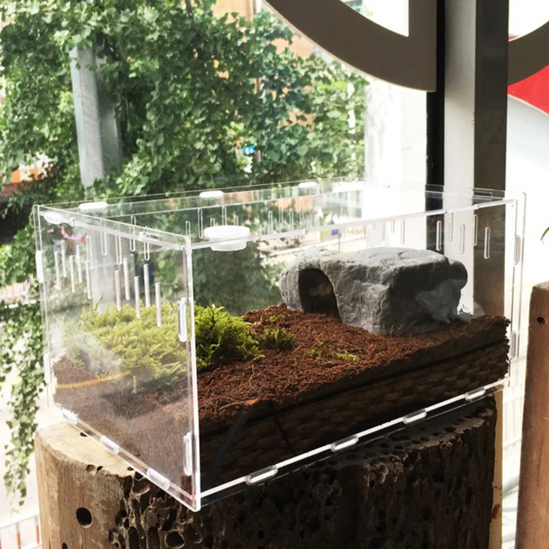 Reptile Tank Insect Spiders Tortoise Lizard Acrylic Transparent Breeding Box Vivarium Lid Reptile Pet Product Terrarium 2020 New Reptile Tank Insect Spiders Tortoise Lizard Acrylic Transparent Breeding Box Vivarium Lid Reptile Pet Product Terrarium 2020 New