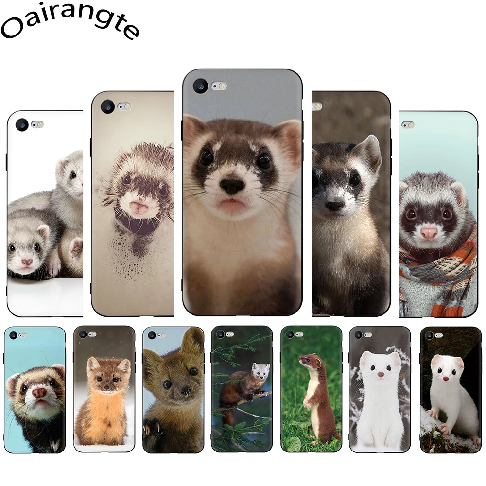 Мягкий чехол для телефона Ferret Ermine iPhone 5 5S SE 2020 6 6S Plus 7 8 X XS XR 11 12 Pro Max Mini | Мобильные
