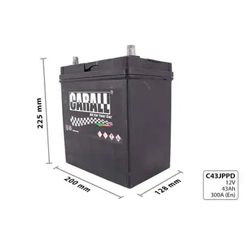 

CARALL C43JPPD CARALL car starter battery 12V 43Ah 300A DX