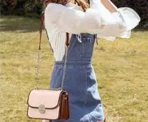 

2019 New oblique bag network red shoulder chain small packAAA84