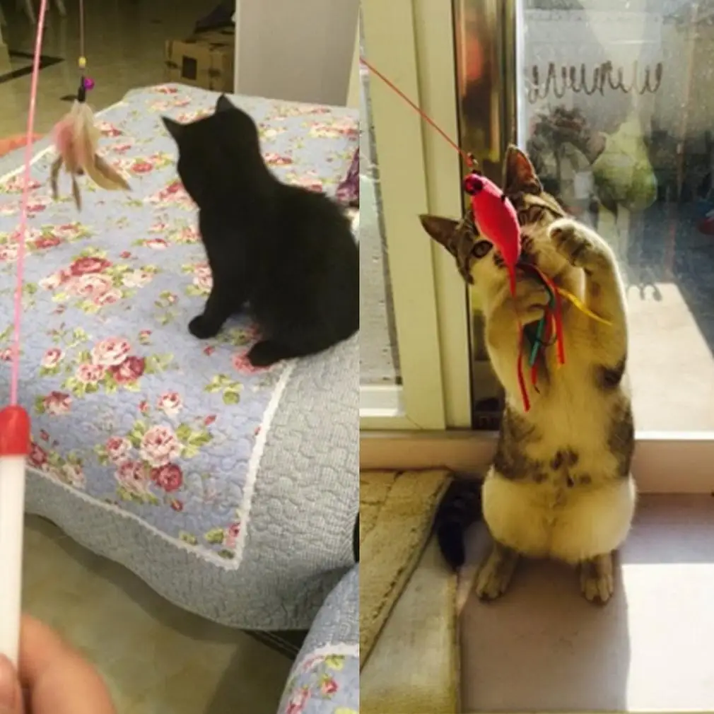 Котенок кошка питомец игрушка проволока Охотник палочка-Дразнилка перо с колокольчиком бусины Play Fun