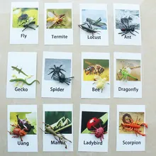 Jeu de cartes pour enfants Montessori, jeu de cartes pour bébés, jeu de correspondance, jouets éducatifs d'apprentissage pour tout petits, YJ1344H