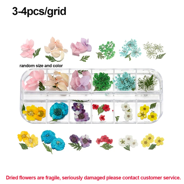 1Box Dried Flowers Dry Plants for Rsein Molds Fillings Epoxy Resin Pendant Tweezers Jewelry Making Craft DIY Nail Art Decoration Style19