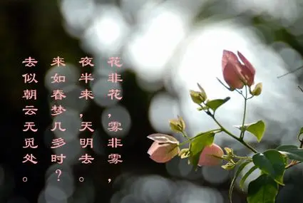 《花非花》创作背景图片