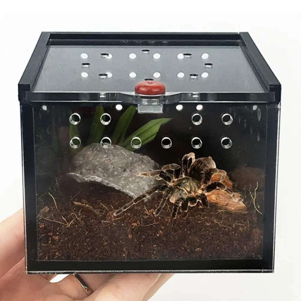 Акриловая коробка для кормления рептилий ящерица насекомое клетка для разведения паука контейнер для вылупления лягушка крикет черепаха короб для разведения домашних животных