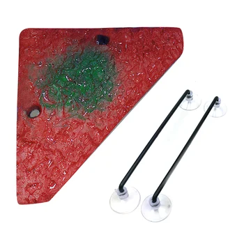 

Tortoise Basking Floating Platform Aquarium Tortoise Platform Pier Terrace For Turtles Tortoise Frogs And Other Small Pets