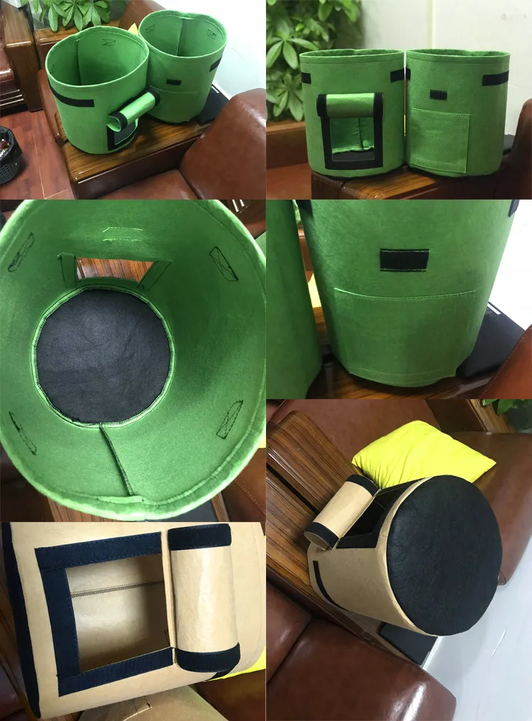 12541087455_1432856766