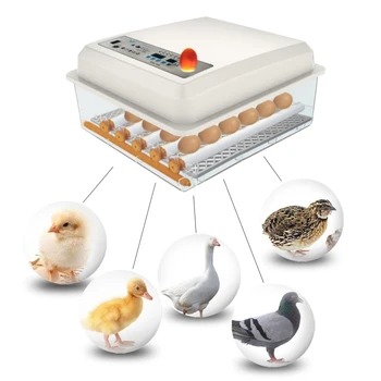 

Professional 24 Eggs Incubator Automatic Hatchery Machine Digital Display Humidity Control Birds Brooder Thermostat Breeding Hat
