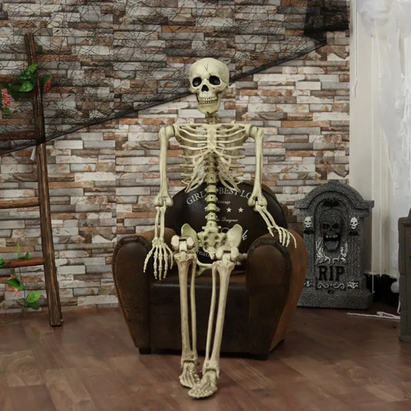 

1Pc Halloween Prop Skeleton Full Size Skull Hand Life Body Anatomy Model Decor