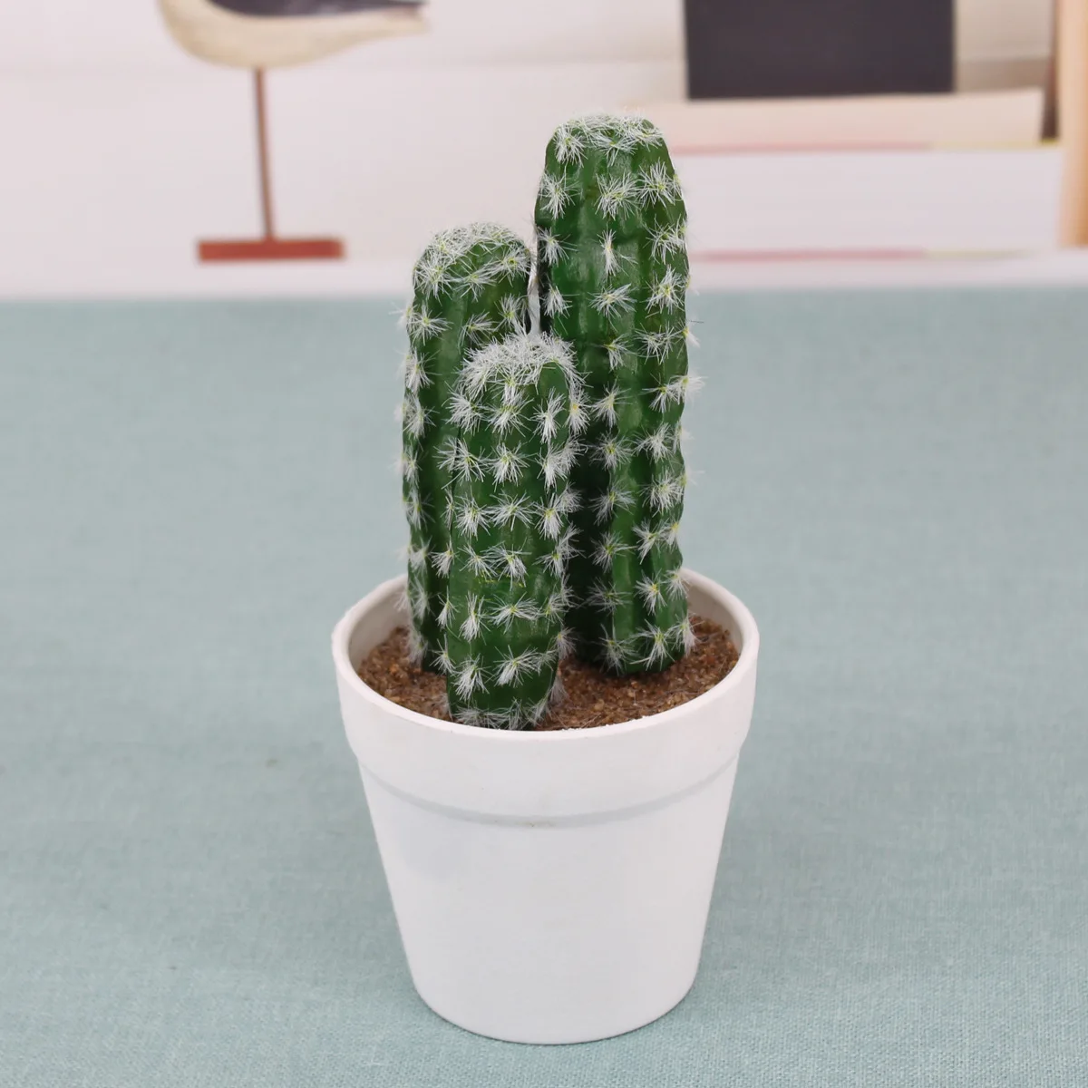 большой круглый кактус в горшке. живые кактусы в горшках. кактусы из магазина. кактус ампельный хамецереус. продаю кактус.