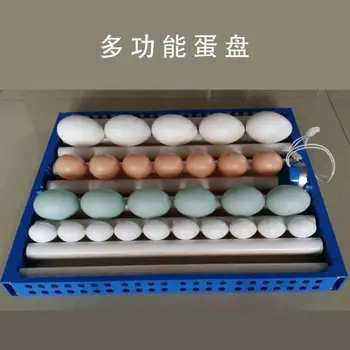 

Professional plastic egg tray for incubator Automatic egg turning 64/48/32 plastic egg tray Hatcher accessories
