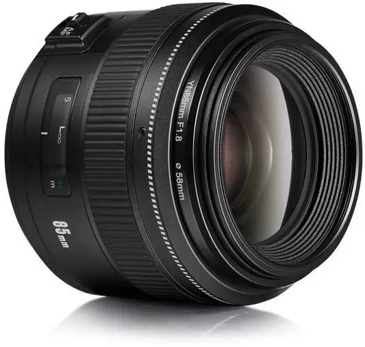 51K+VurDEfL._AC_SL1000_