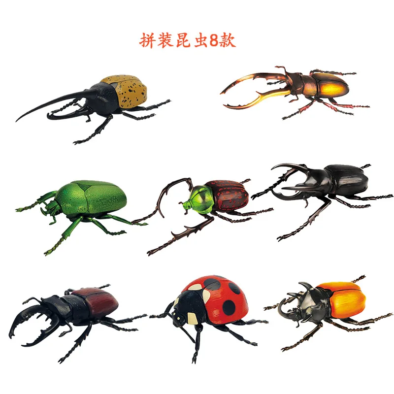 

3D Assembled Model 4-Mixed 20 Rhinoceros Beetle Coccinella Septempunctata Assembled Insect Model