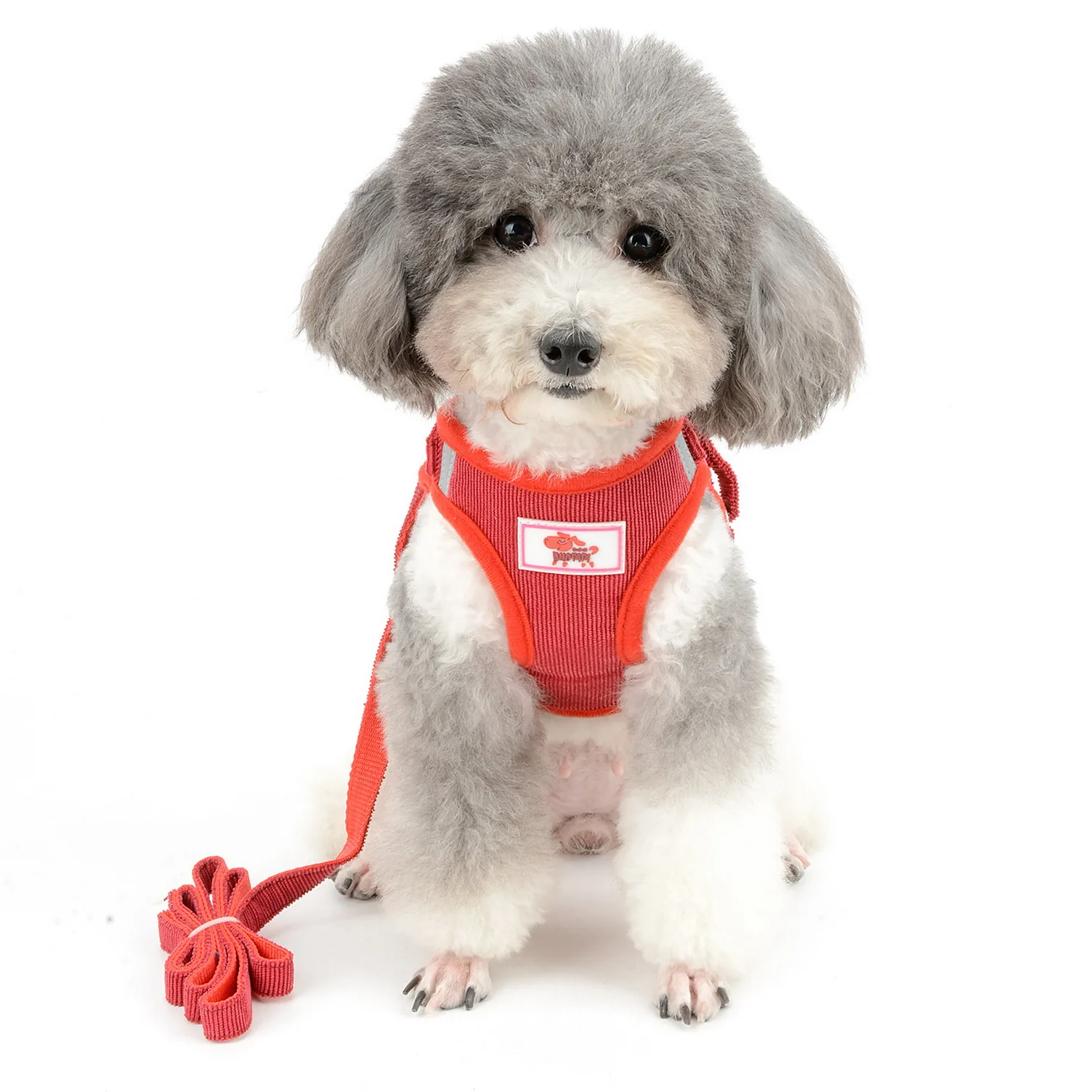 Reflective No Pull Small Dog Cat Harness and Leash for Walking Corduroy Escape Proof Soft Mesh Padded Puppy Step-in Harness - Цвет: Red