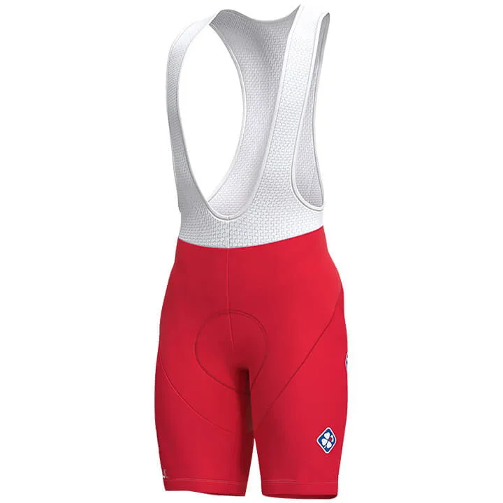 Модель года, комплект спортивной одежды для гонок FDJ pro equipo SWISS hombres Ciclismo