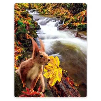 

Hommomh Throw Blanket comfortable warmth portable PLUSH THROW sofa bed blanket Creek lovely squirrel & yellow maple leaf